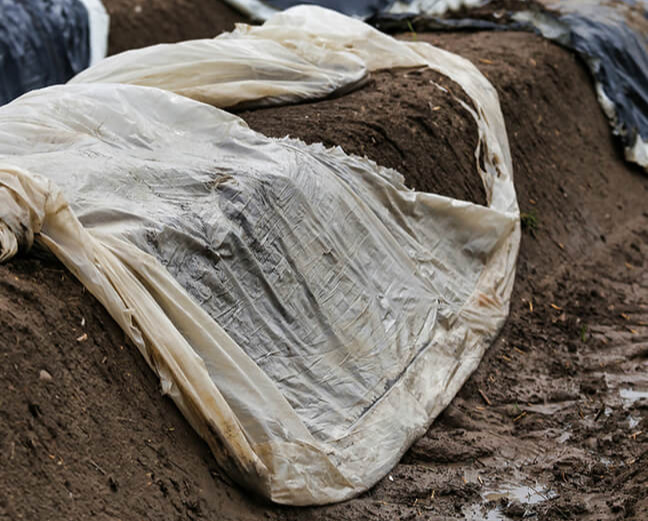 Abfälle aus Gewerbe und Landwirtschaft