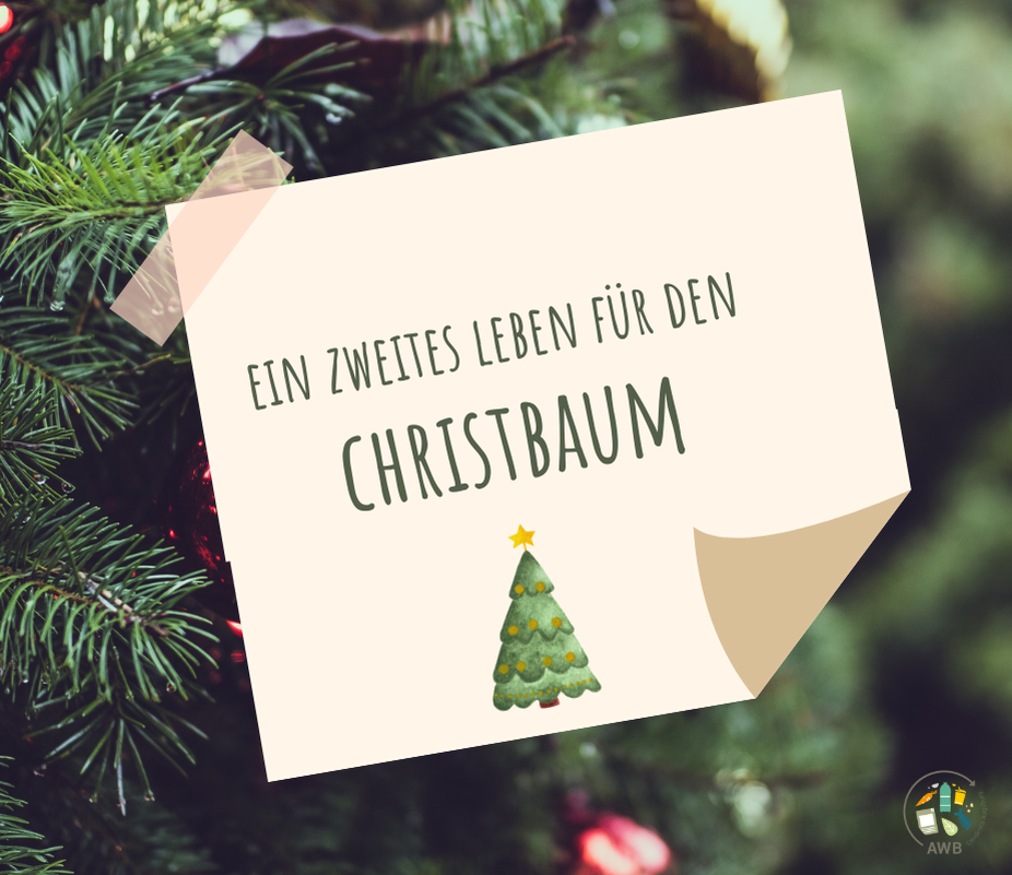 Ein zweites Leben für den Christbaum