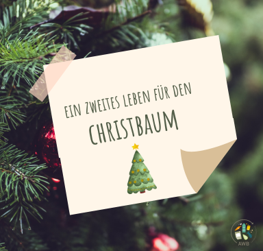 Ein zweites Leben für den Christbaum