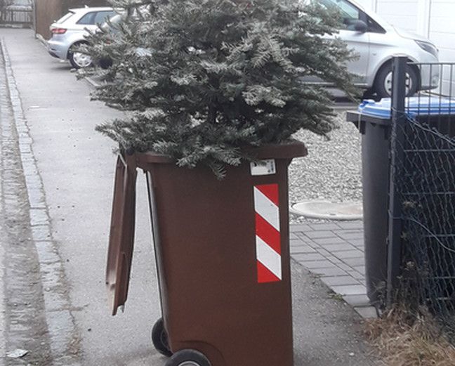 Ein zweites Leben für den Christbaum