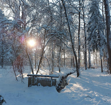 Witterungsbedingte Verzögerungen bei der Müllabfuhr