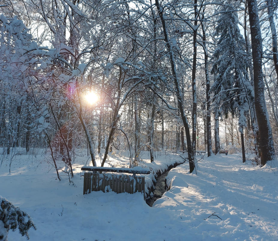 Witterungsbedingte Verzögerungen bei der Müllabfuhr