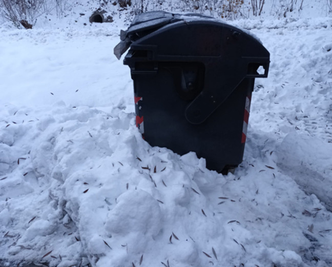 Witterungsbedingte Verzögerungen bei der Müllabfuhr
