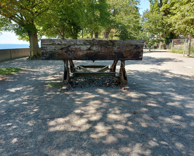 Asbest im Haus – was nun?