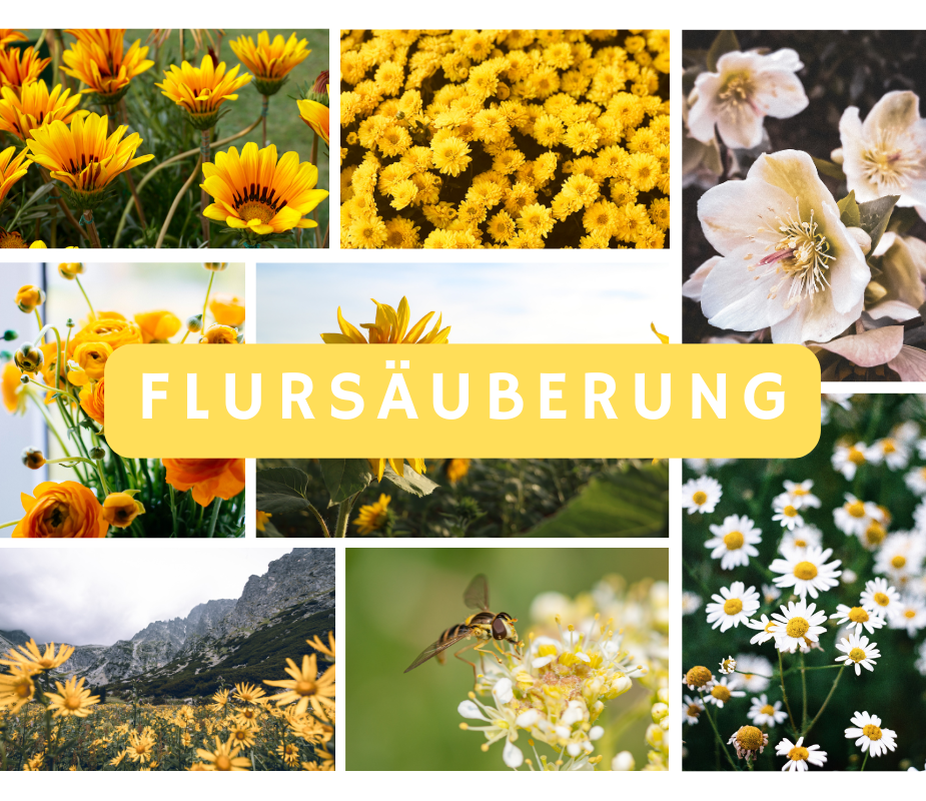 Zusammen macht's mehr Spaß