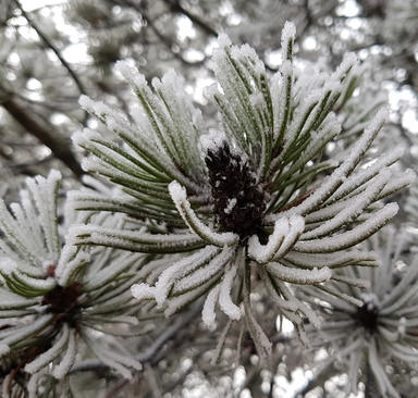 Auch der Mülltonne wird's kalt