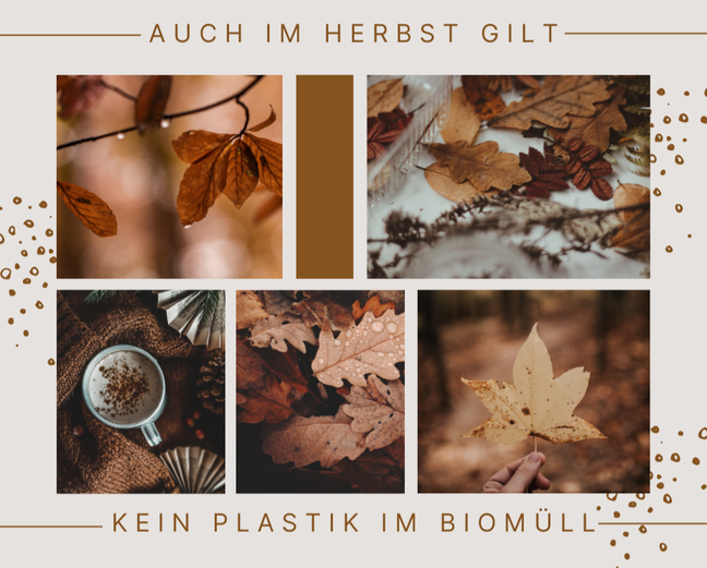 Kein Übergewicht für die Biotonne