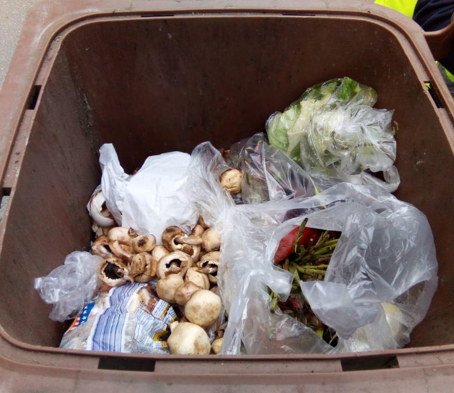 Kein Plastik im Biomüll