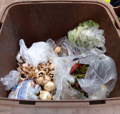 Kein Plastik im Biomüll